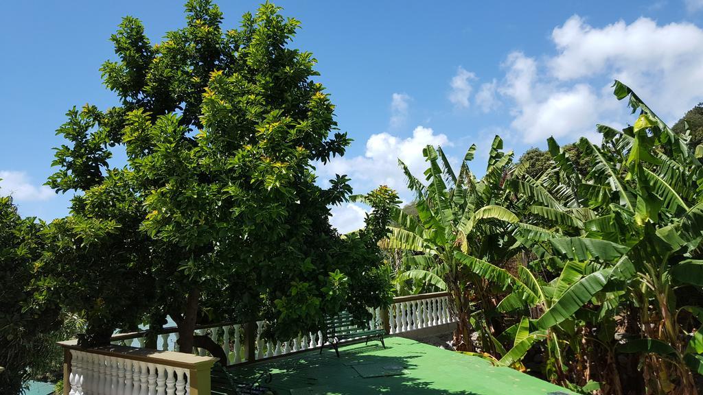 Hibiscus House Seychelles Self Catering Apartment Victoria Exterior foto